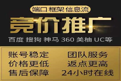 百度竞价广告的投放策略与成功案例分析
